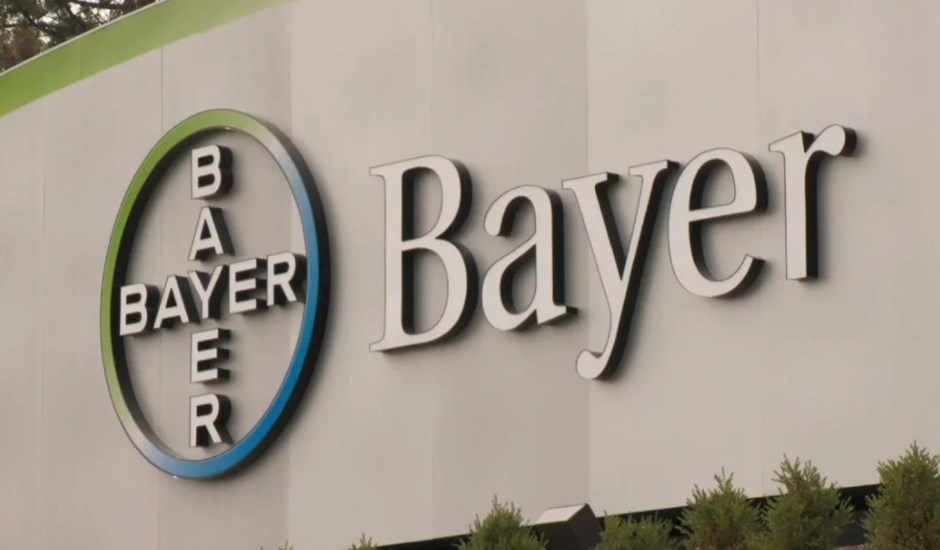 bayer