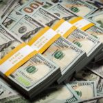 dolar noldu