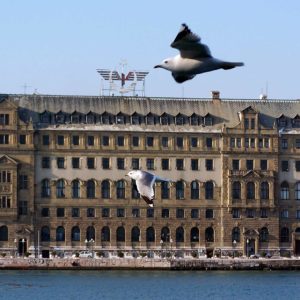 Haydarpaşa ve MArtılar