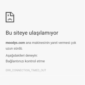 moody's internet sayfası web