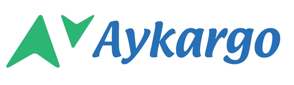 Aygaz ve McKinsey Aykargo ile Kargo Sektöründe