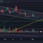 Kripto piyasasındaki hacimsiz seyir devam ederken dün ödeme devi PayPal’dan haber geldi. Uzun süredir kripto para ile ödeme hizmeti veren Paypal, kendi stablecoin’nini çıkartacağını duyurdu. Dolara sabitlenerek piyasaya sürülecek stablecoin olan PayPal USD (PYUSD), Paxos tarafından desteklenecek.