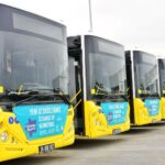 Filoya gelen ilk otobüsler; 80 / Kazlıçeşme – Eminönü 32T / Cevatpaşa – Taksim 80T / Kazlıçeşme – Taksim 85C / Yıldız Teknik Üniversitesi Davutpaşa – Kazlıçeşme MK97 / Çavuşpaşa – Zeytinburnu MR10 / Zeytinburnu – Kazlıçeşme MR11 / Kazlıçeşme – Topkapı 32 M / Cevatpaşa – Mecidiyeköy 31 / Kuyumcukent - Yenikapı hatlarında hizmet vermeye başladı. Önümüzdeki günlerde gelecek yeni otobüslerin farklı hatlarda hizmet vermeye başlaması planlanıyor.
