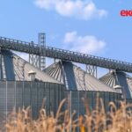 Diyarbakır'da lisanssız ürün toplama iddiası çiftçileri mağdur etti