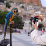 Canon içerik üreticileri Mardin buluşmasıyla zamanda yolculuk yaptılar