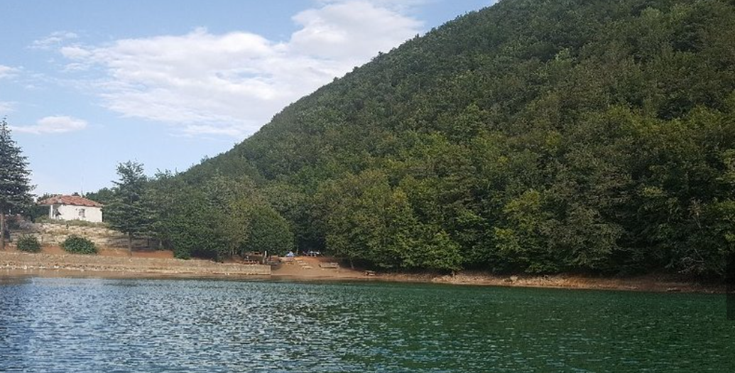 Mehmet Cengiz'in şirketi, 51 bin ağaç kesecek