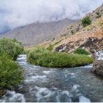 Munzur Rektör'ü eşini yetkisiz makama atadı!