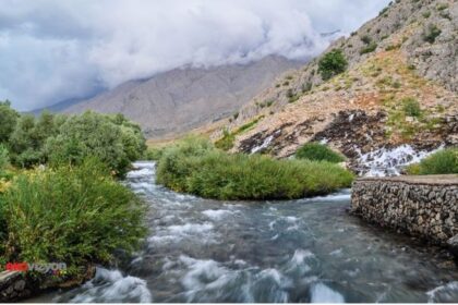 Munzur Rektör'ü eşini yetkisiz makama atadı!