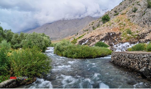 Munzur Rektör'ü eşini yetkisiz makama atadı!