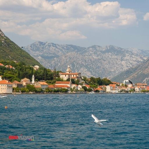 Karadağ Başbakanı Milojko Spajic, yaşanan bu gergin olayların ardından Türkiye'ye yönelik vize serbestliğinin geçici olarak askıya alınacağını daha önce kamuoyuna duyurmuştu.