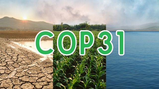 COP31: Türkiye’nin en pahalı vitri̇ni mi, dönüşüm fırsatı mı?