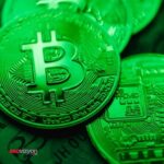 Kripto para borsası Thodex sahibi Faruk Fatih Özer cezaevinde ölü bulundu