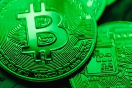 Kripto para borsası Thodex sahibi Faruk Fatih Özer cezaevinde ölü bulundu