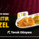 Tavuk Dünyası